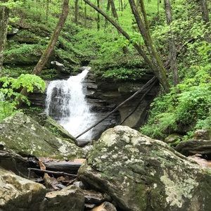 Meet your Posher, Jackie